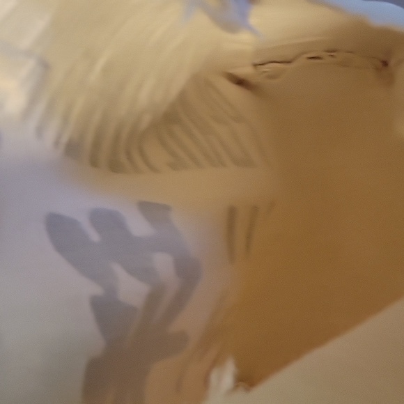 Pear River Canvas tote - Picture 4 of 5